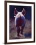 Tail End-Cheri Christensen-Framed Giclee Print