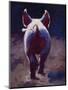 Tail End-Cheri Christensen-Mounted Premium Giclee Print