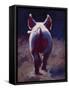 Tail End-Cheri Christensen-Framed Stretched Canvas