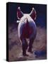 Tail End-Cheri Christensen-Stretched Canvas