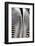 Tail & Hindquarters of of Grevy's Zebra (Equus Grevyi)-Scott T. Smith-Framed Photographic Print