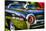 Tail of a 1962 Ford Thunderbird-George Oze-Stretched Canvas