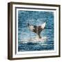 Tail Of The Whale-Sheldon Lewis-Framed Art Print