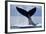 Tail Slapping Humpback Whale, Alaska-Paul Souders-Framed Photographic Print