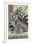 Tailed Lemurs, Point Defiance Zoo and Aquarium-Lantern Press-Framed Art Print