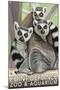 Tailed Lemurs, Point Defiance Zoo and Aquarium-Lantern Press-Mounted Art Print