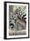 Tailed Lemurs, Point Defiance Zoo and Aquarium-Lantern Press-Framed Art Print