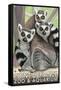 Tailed Lemurs, Point Defiance Zoo and Aquarium-Lantern Press-Framed Stretched Canvas