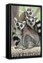 Tailed Lemurs, Point Defiance Zoo and Aquarium-Lantern Press-Framed Stretched Canvas
