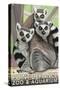 Tailed Lemurs, Point Defiance Zoo and Aquarium-Lantern Press-Stretched Canvas