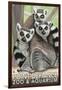 Tailed Lemurs, Point Defiance Zoo and Aquarium-Lantern Press-Framed Art Print