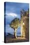 Tainaron Blue Retreat in Mani, Greece. Exterior View of an Alcove in a Stone Wall and a Tree-George Meitner-Stretched Canvas