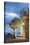 Tainaron Blue Retreat in Mani, Greece. Exterior View of an Alcove in a Stone Wall and a Tree-George Meitner-Stretched Canvas