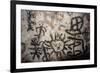 Taino Cave Paintings, Jose Maria Cave-null-Framed Giclee Print