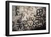 Taino Cave Paintings, Jose Maria Cave-null-Framed Giclee Print