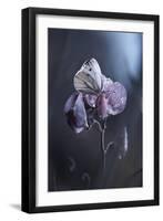 Tainted Love-Fabien Bravin-Framed Photographic Print