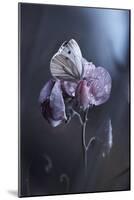 Tainted Love-Fabien Bravin-Mounted Photographic Print