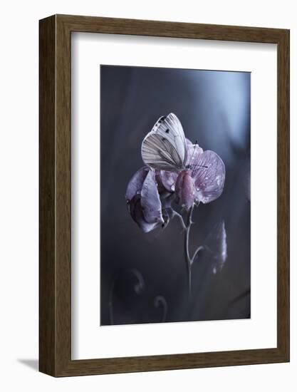 Tainted Love-Fabien Bravin-Framed Photographic Print