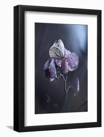 Tainted Love-Fabien Bravin-Framed Photographic Print