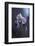 Tainted Love-Fabien Bravin-Framed Photographic Print