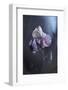 Tainted Love-Fabien Bravin-Framed Photographic Print