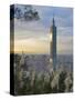 Taipei 101 Skyscraper, Taipei, Taiwan-Michele Falzone-Stretched Canvas