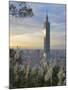 Taipei 101 Skyscraper, Taipei, Taiwan-Michele Falzone-Mounted Photographic Print