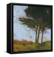 Tair Coeden-Paul Bailey-Framed Stretched Canvas