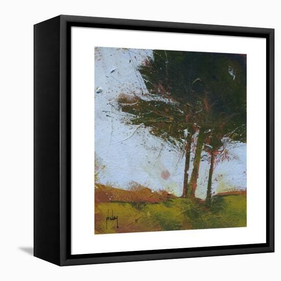Tair Coeden-Paul Bailey-Framed Stretched Canvas
