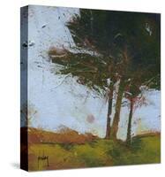 Tair Coeden-Paul Bailey-Stretched Canvas