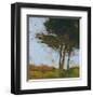 Tair Coeden-Paul Bailey-Framed Art Print