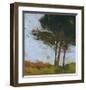 Tair Coeden-Paul Bailey-Framed Art Print