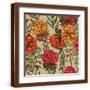 Brown Frame