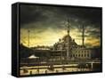 Canvas Black
