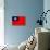 Taiwan Flag Design with Wood Patterning - Flags of the World Series-Philippe Hugonnard-Stretched Canvas displayed on a wall