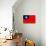 Taiwan Flag Design with Wood Patterning - Flags of the World Series-Philippe Hugonnard-Stretched Canvas displayed on a wall