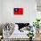 Taiwan Flag Design with Wood Patterning - Flags of the World Series-Philippe Hugonnard-Art Print displayed on a wall