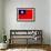 Taiwan Flag Design with Wood Patterning - Flags of the World Series-Philippe Hugonnard-Framed Art Print displayed on a wall