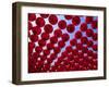 Taiwan, Kaohsiung, Cijin Island, Chinese Lanterns at Tianhou Temple-Steve Vidler-Framed Photographic Print