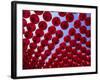 Taiwan, Kaohsiung, Cijin Island, Chinese Lanterns at Tianhou Temple-Steve Vidler-Framed Photographic Print