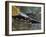 Taiyu-In Mausoleum, Nikko, Central Honshu, Japan-Schlenker Jochen-Framed Photographic Print