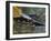 Taiyu-In Mausoleum, Nikko, Central Honshu, Japan-Schlenker Jochen-Framed Photographic Print