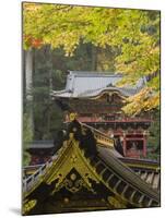 Taiyu-In Mausoleum, Nikko, Central Honshu, Japan-Schlenker Jochen-Mounted Photographic Print