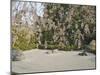 Taizo, Stone Garden in Temple, Kyoto, Japan, Asia-Michael Jenner-Mounted Photographic Print