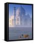 Taj Mahal, Agra, India-Peter Adams-Framed Stretched Canvas
