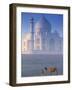 Taj Mahal, Agra, India-Peter Adams-Framed Photographic Print