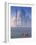 Taj Mahal, Agra, India-Peter Adams-Framed Photographic Print