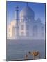 Taj Mahal, Agra, India-Peter Adams-Mounted Photographic Print
