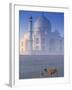 Taj Mahal, Agra, India-Peter Adams-Framed Photographic Print