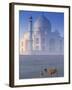 Taj Mahal, Agra, India-Peter Adams-Framed Photographic Print